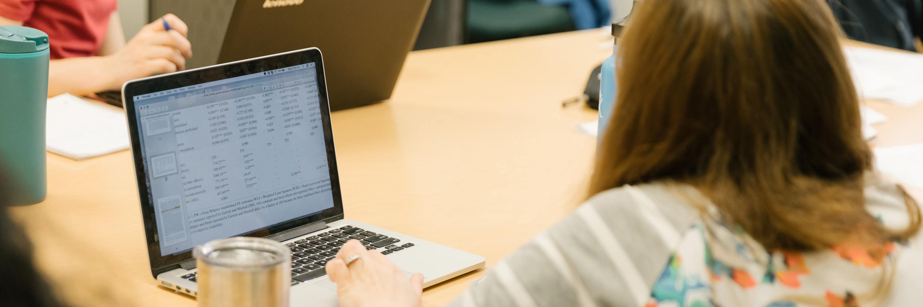 The back of a woman looking at data on a laptop screen.