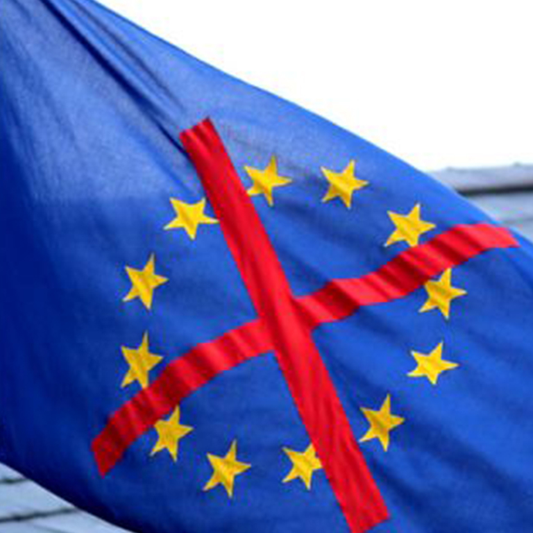 Anti European Union flag
